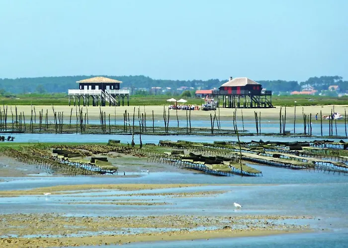 Claire-4 By Interhome Arcachon